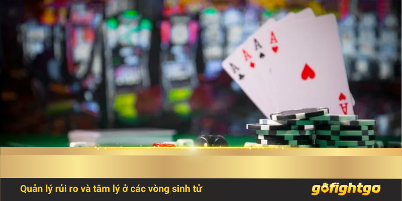 Quản lý rủi ro và tâm lý ở các vòng sinh tử