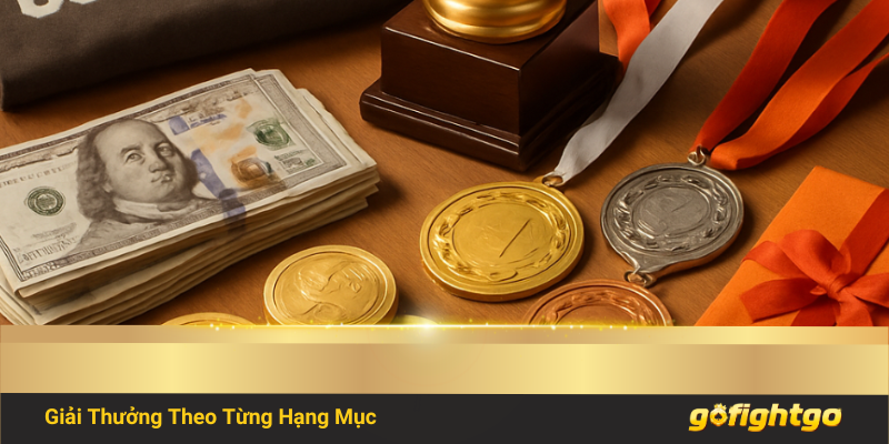 Giải thưởng theo từng hạng mục